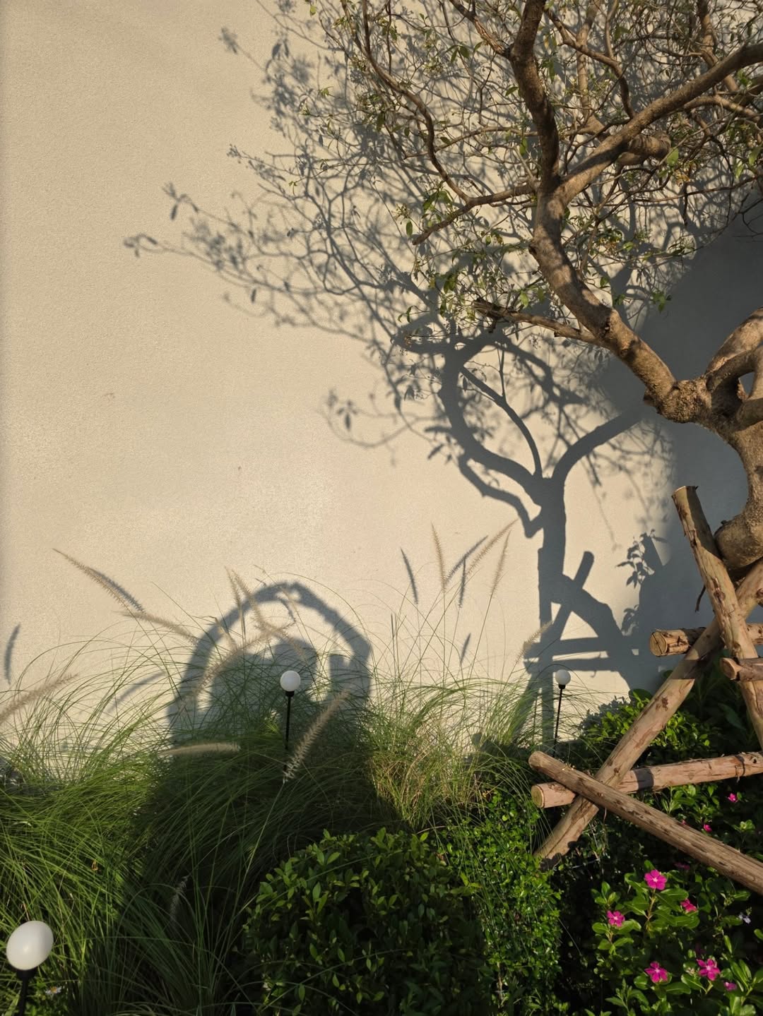 ก้อย - รัชวิน วงศ์วิริยะ