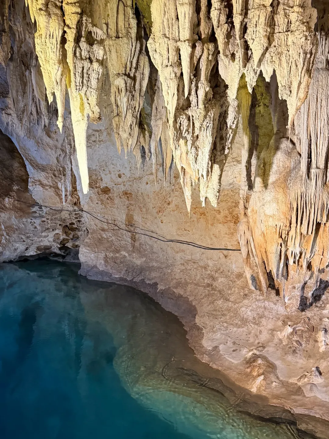 ซัน - ประชากร ปิยะสกุลแก้ว