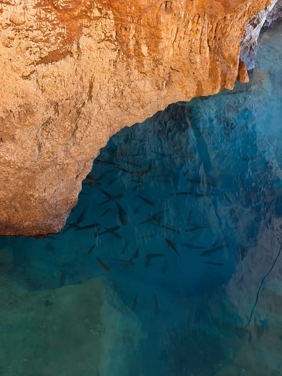 ซัน - ประชากร ปิยะสกุลแก้ว