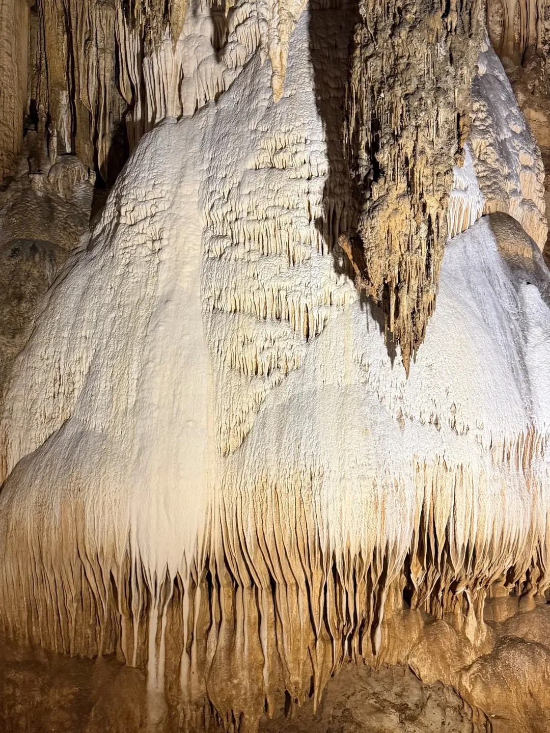 ซัน - ประชากร ปิยะสกุลแก้ว