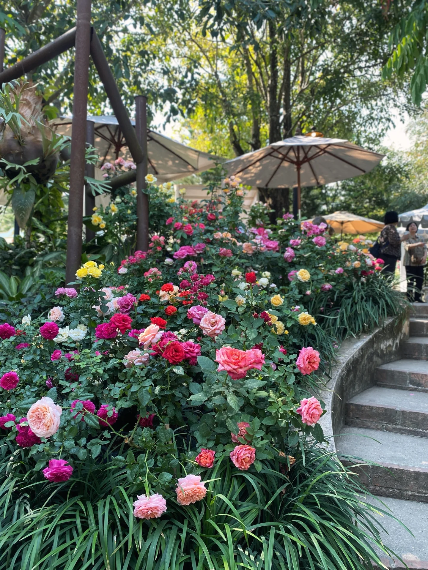 ซัน - ประชากร ปิยะสกุลแก้ว