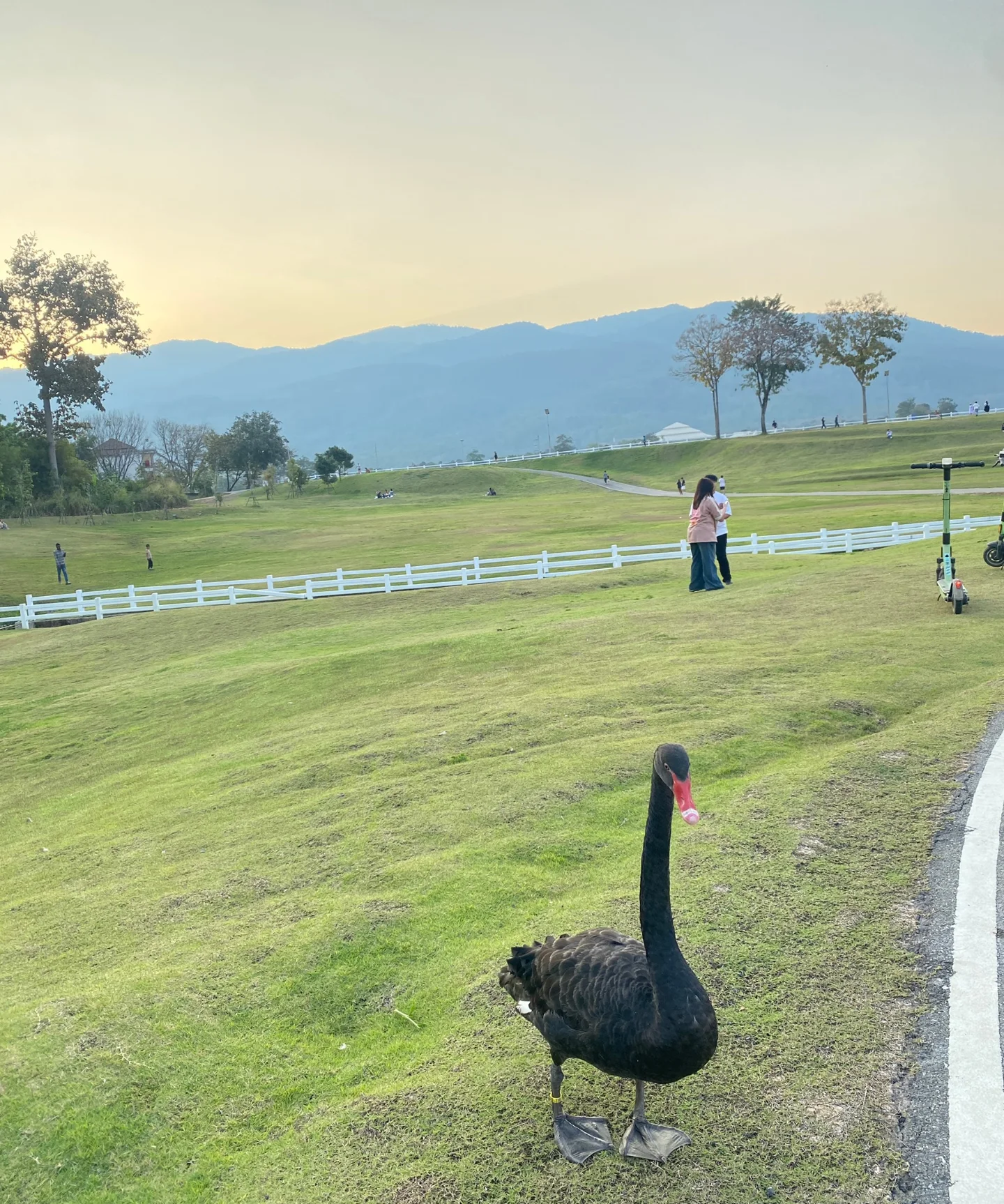 ซัน - ประชากร ปิยะสกุลแก้ว