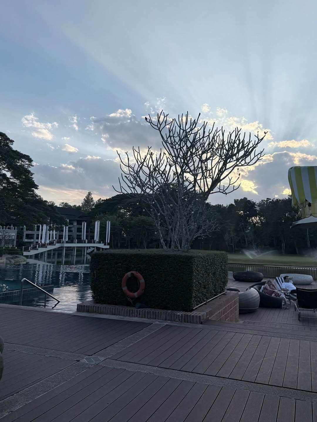 ใบเตย - สุธีวัน ทวีสิน