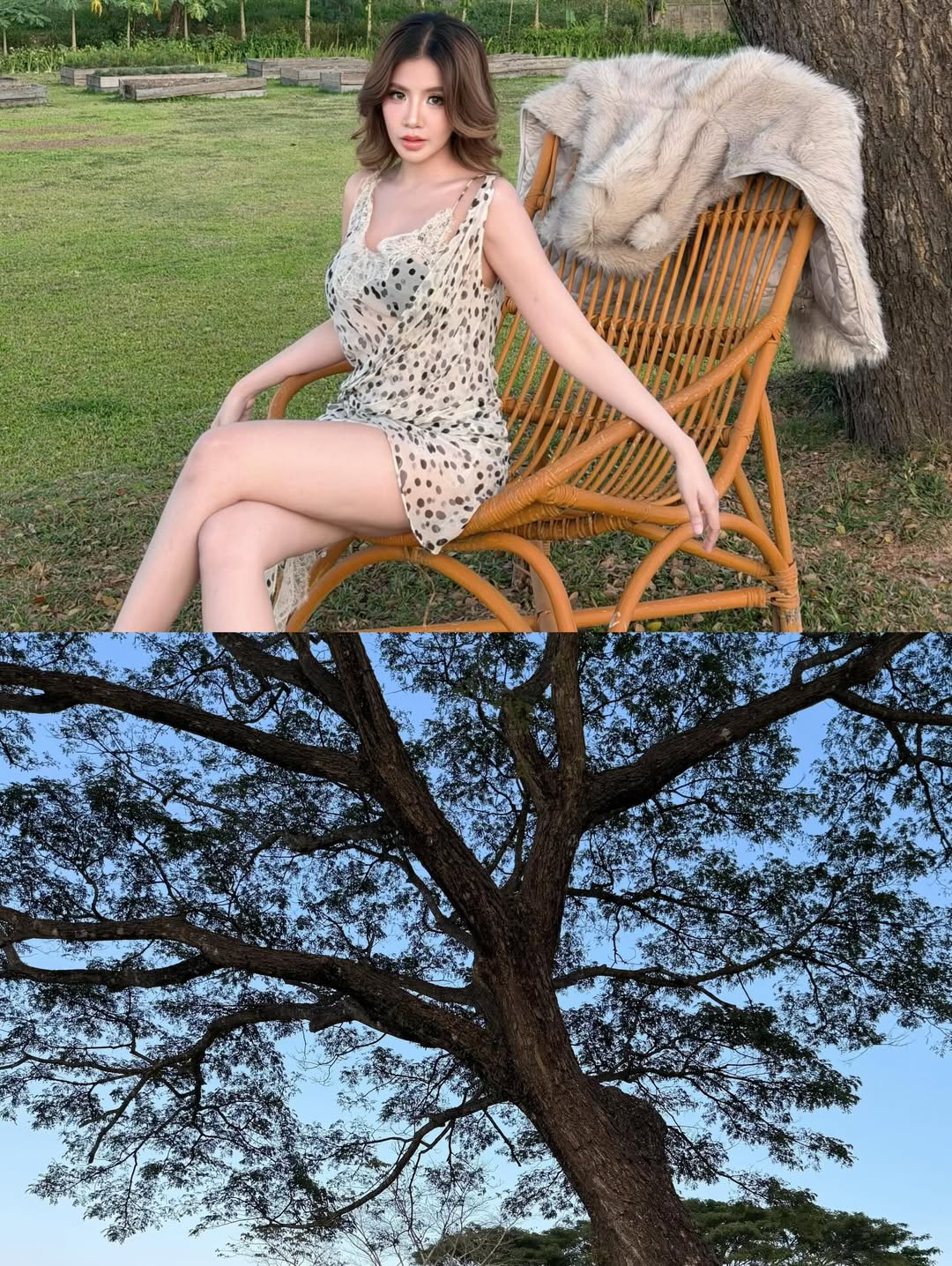 ใบเตย - สุธีวัน ทวีสิน