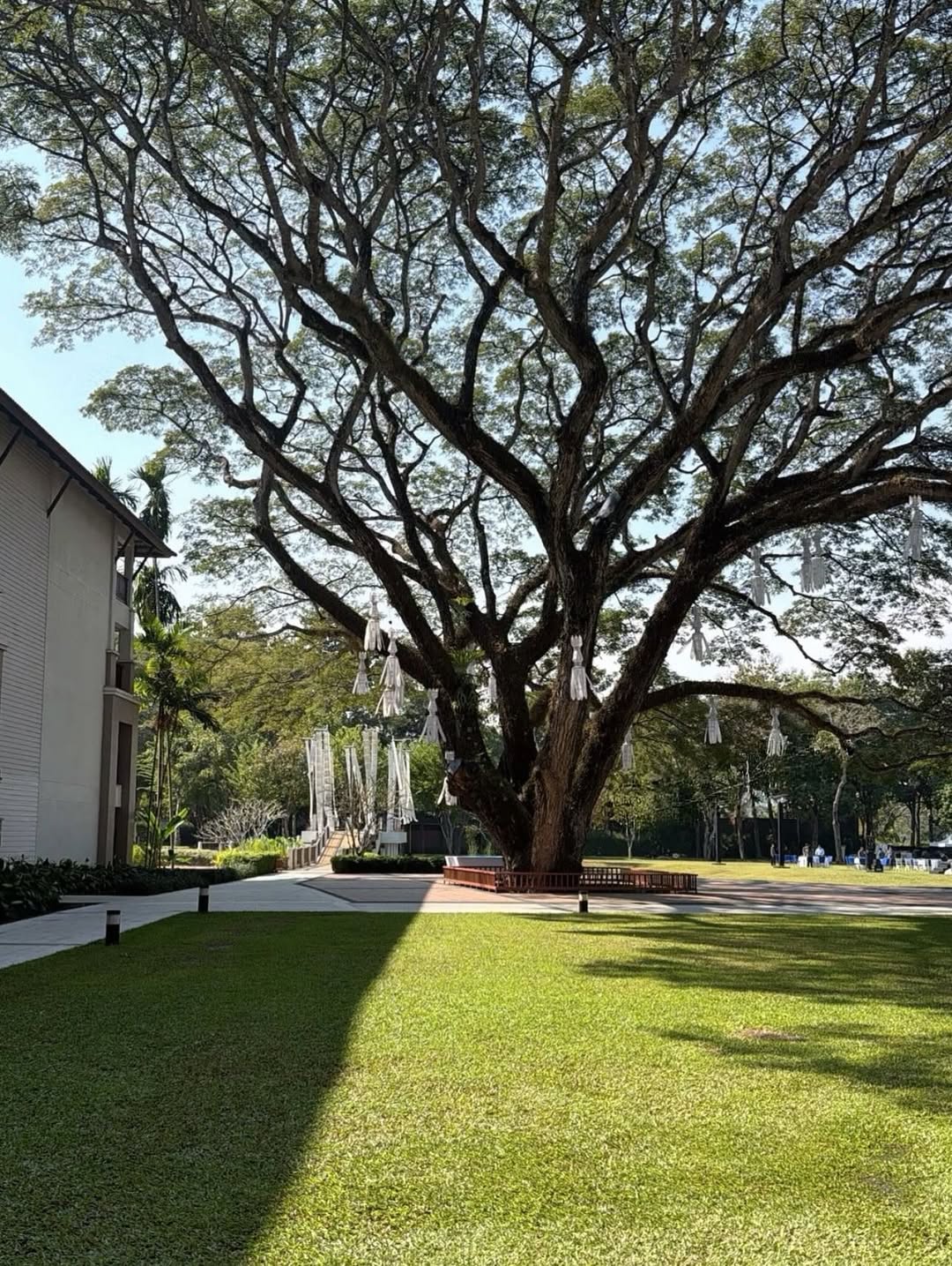 ใบเตย - สุธีวัน ทวีสิน