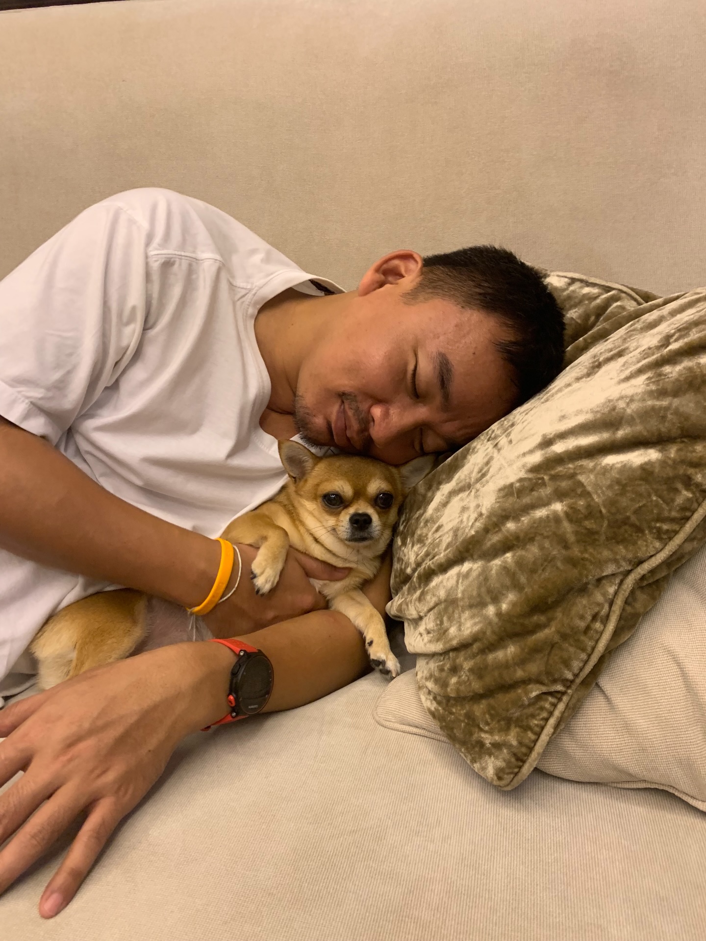 ใบเตย - สุธีวัน ทวีสิน