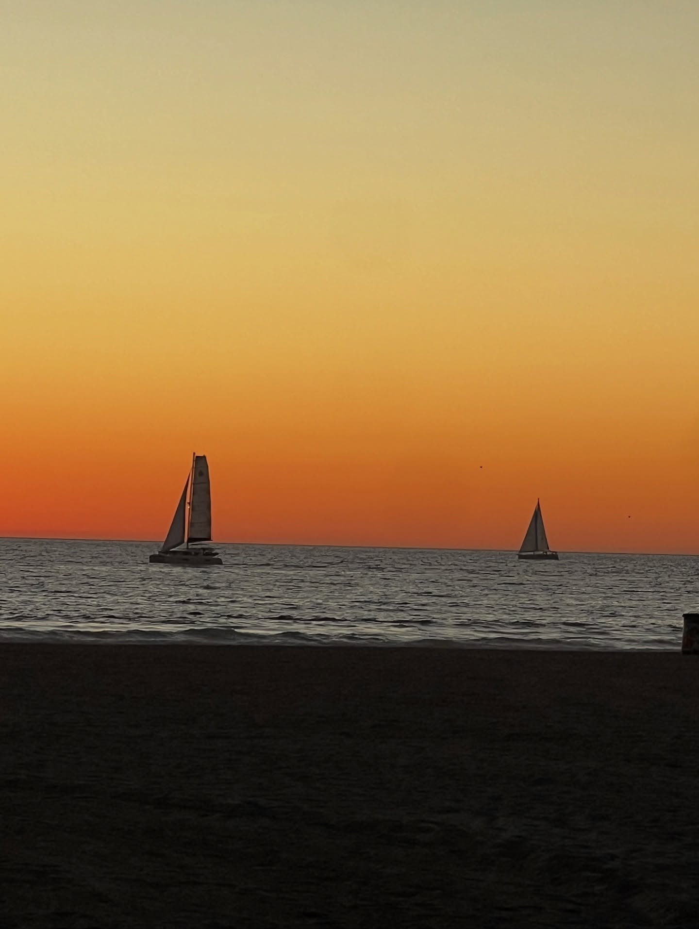 ติช่า - กันติชา ชุมมะ