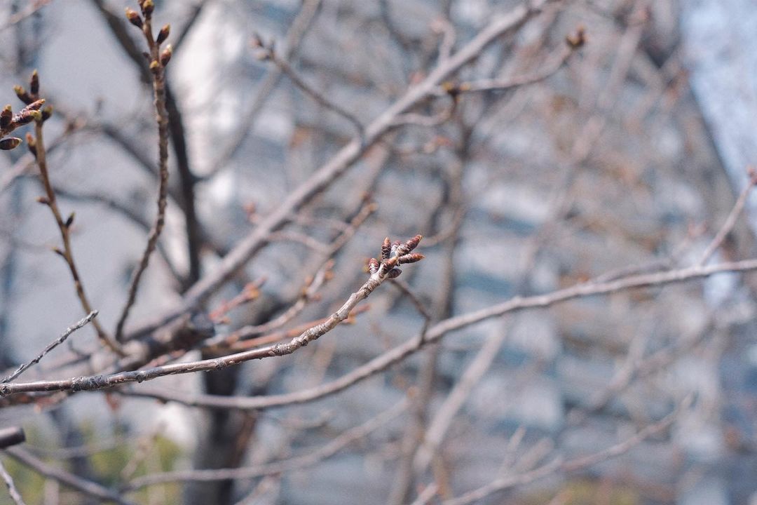 ซิน - ทศพร อาชวานันทกุล
