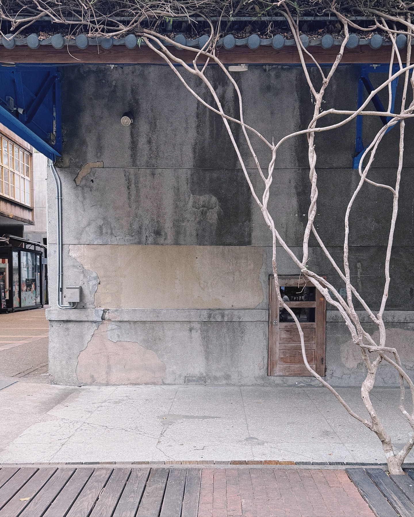 ซิน - ทศพร อาชวานันทกุล