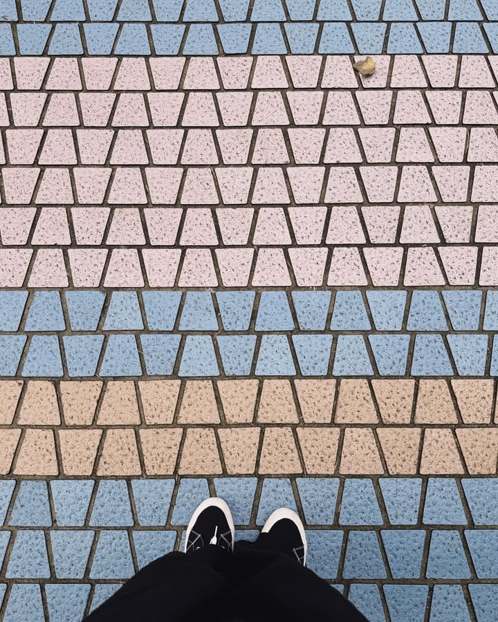 ซิน - ทศพร อาชวานันทกุล