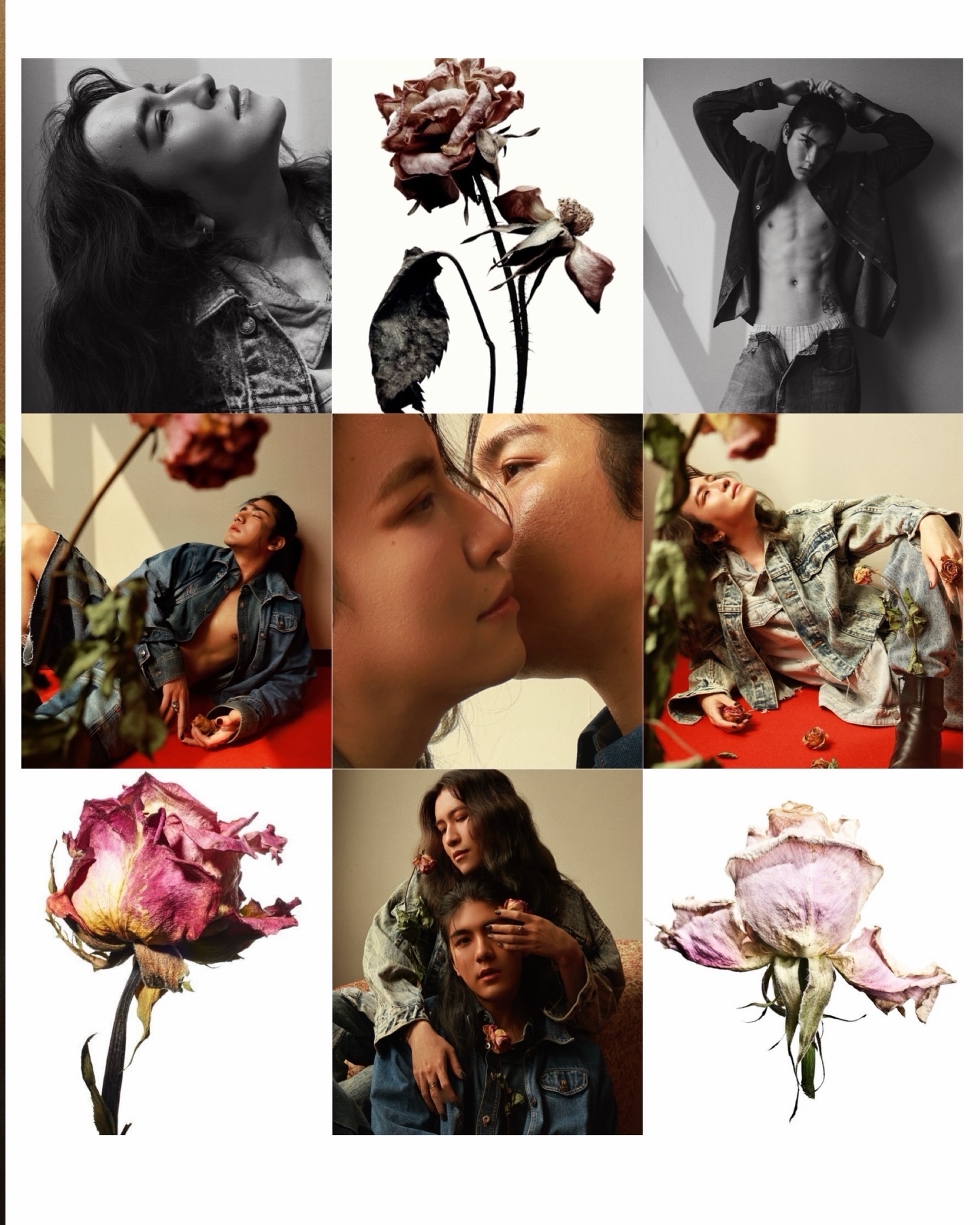 ซิน - ทศพร อาชวานันทกุล