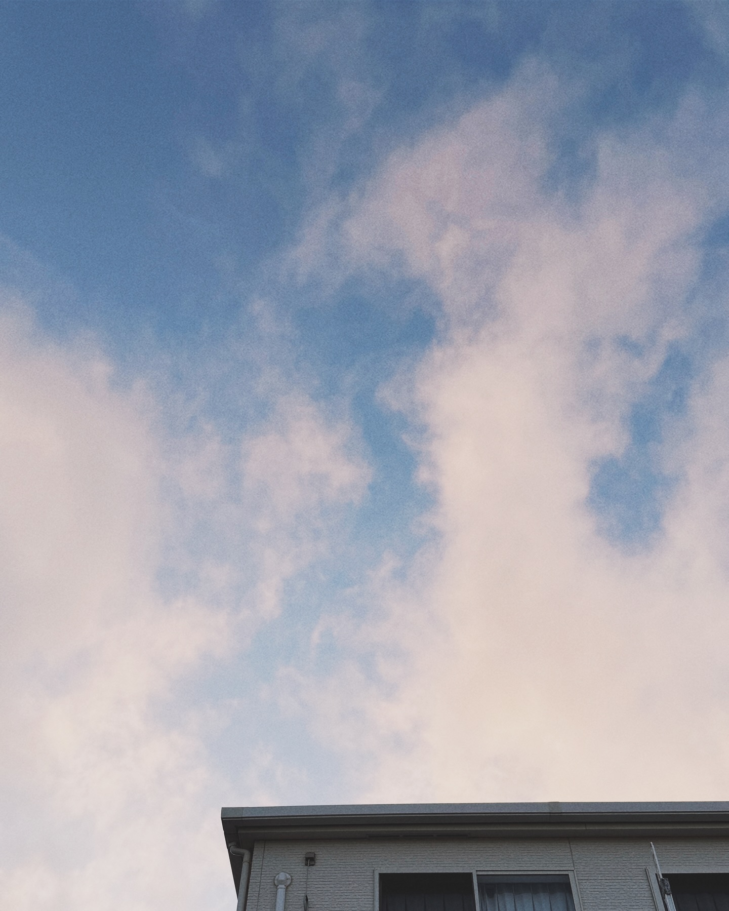 ซิน - ทศพร อาชวานันทกุล