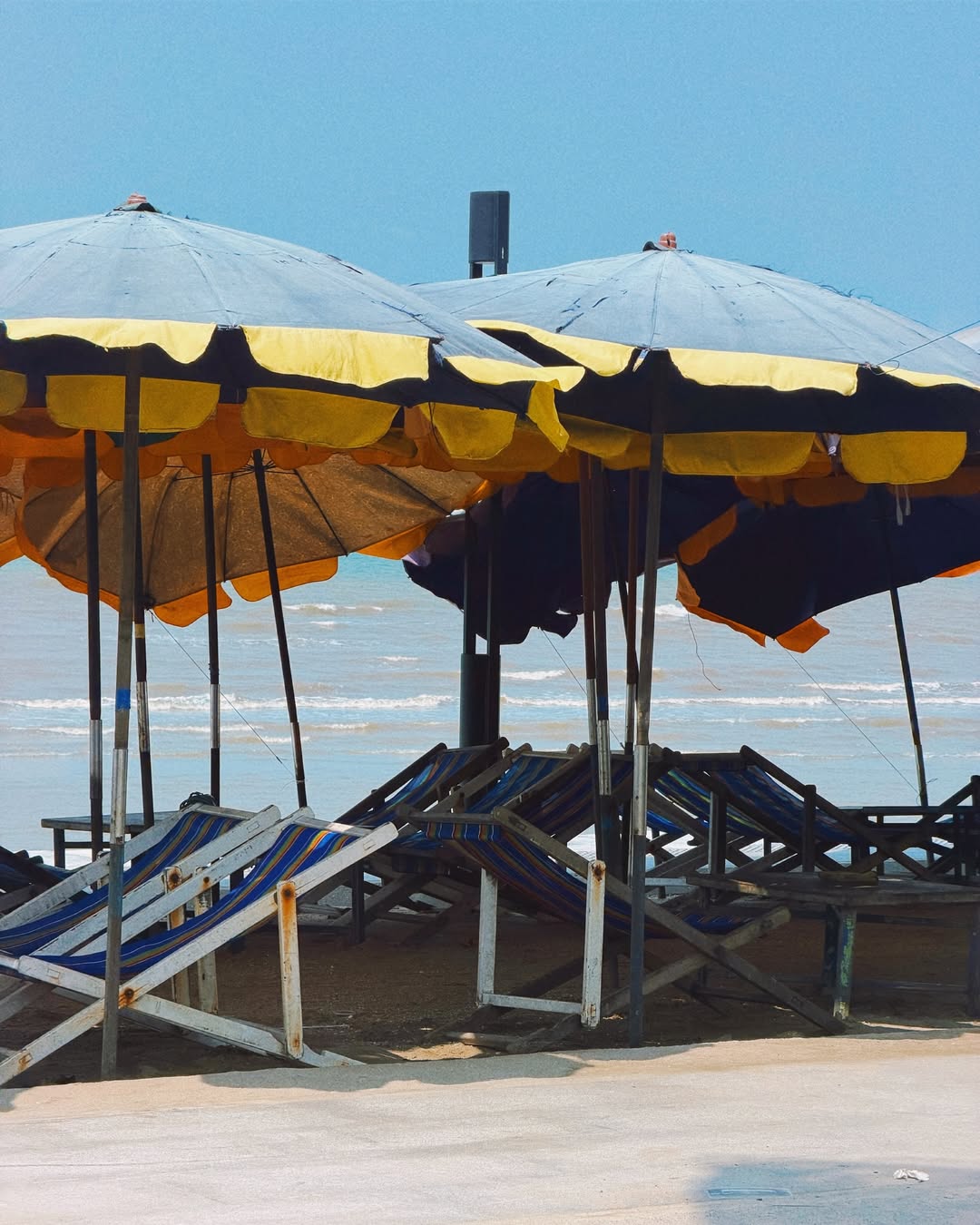 ซิน - ทศพร อาชวานันทกุล