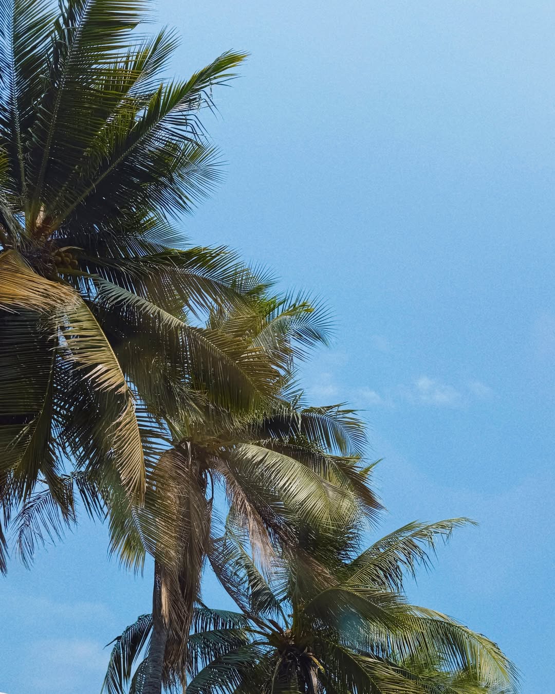 ซิน - ทศพร อาชวานันทกุล