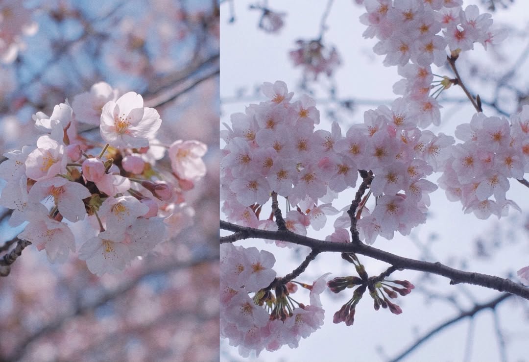 ซิน - ทศพร อาชวานันทกุล