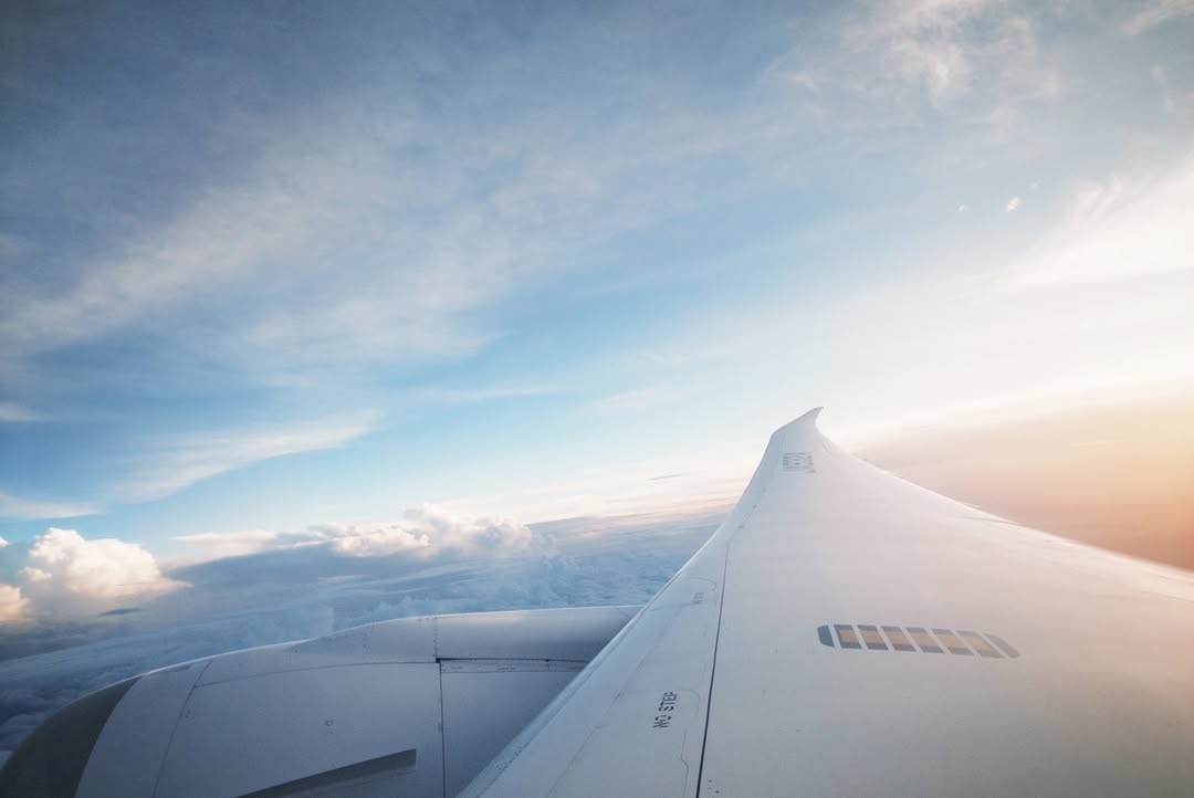 สิงโต - ปราชญา เรืองโรจน์