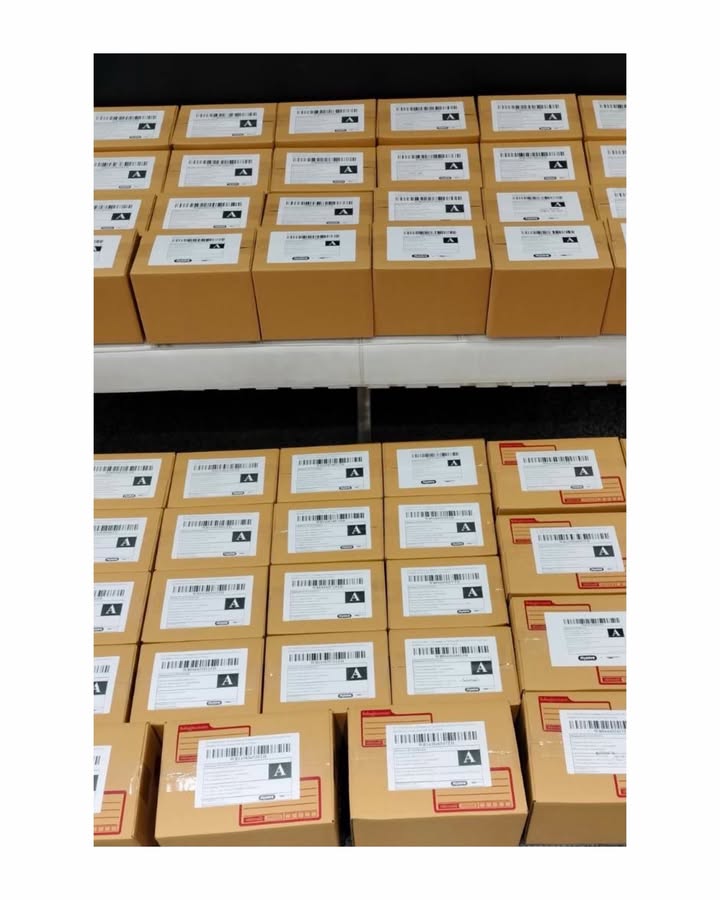 สิงโต - ปราชญา เรืองโรจน์