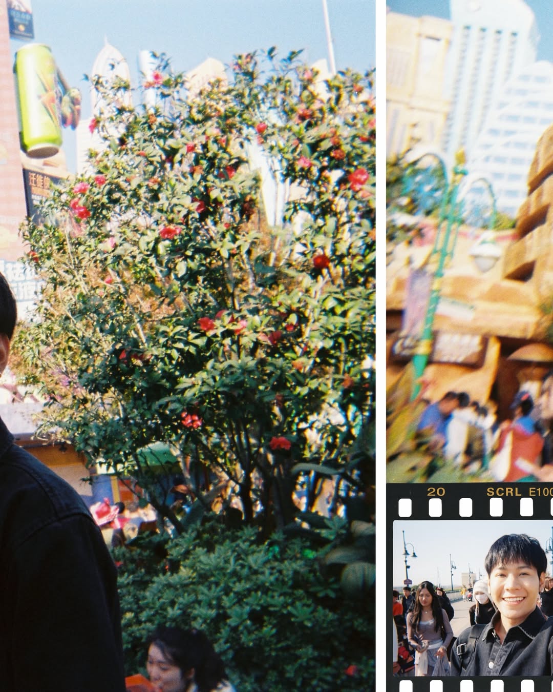 สิงโต - ปราชญา เรืองโรจน์