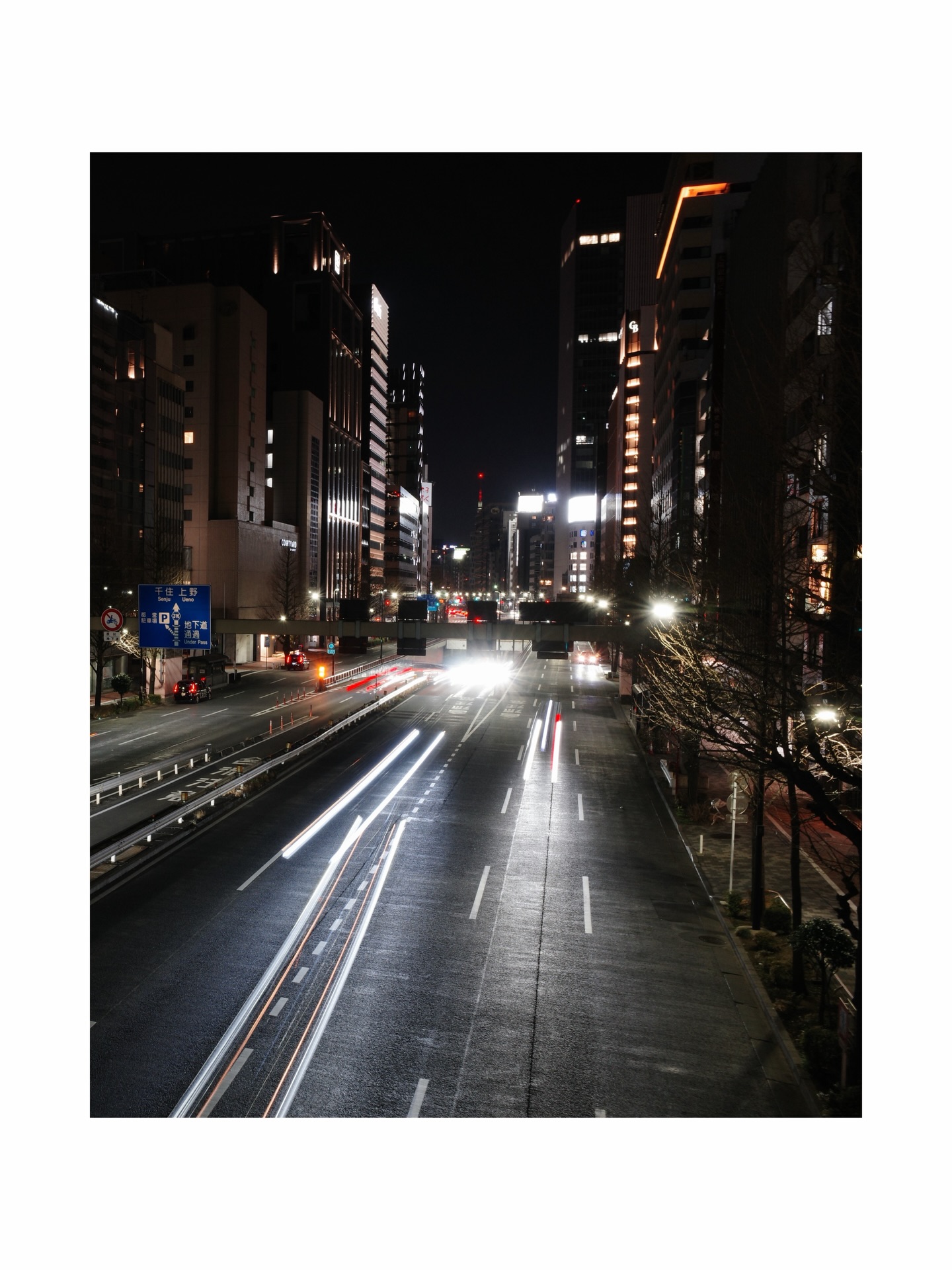 สิงโต - ปราชญา เรืองโรจน์