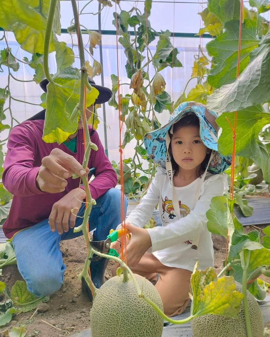 หนุ่ม - คงกะพัน แสงสุริยะ