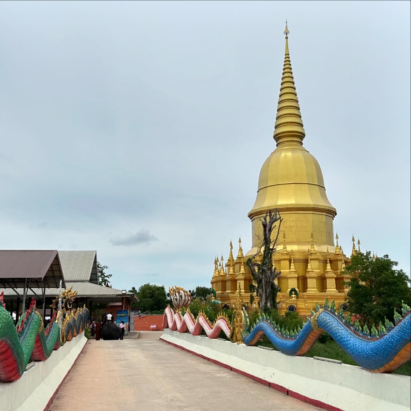 หนุ่ม - คงกะพัน แสงสุริยะ