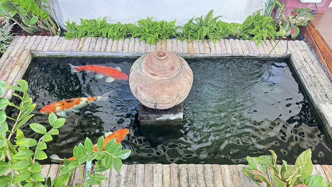 หนุ่ม - คงกะพัน แสงสุริยะ
