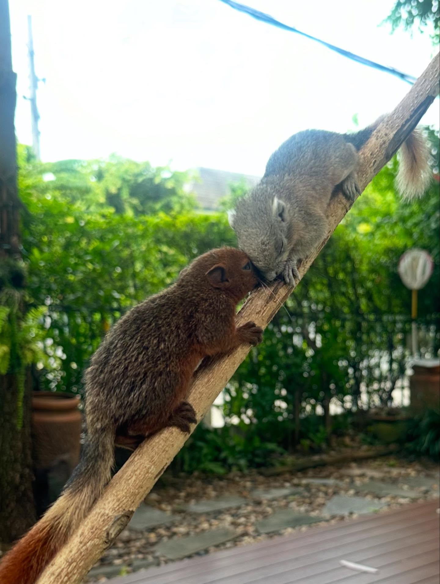 หนุ่ม - คงกะพัน แสงสุริยะ