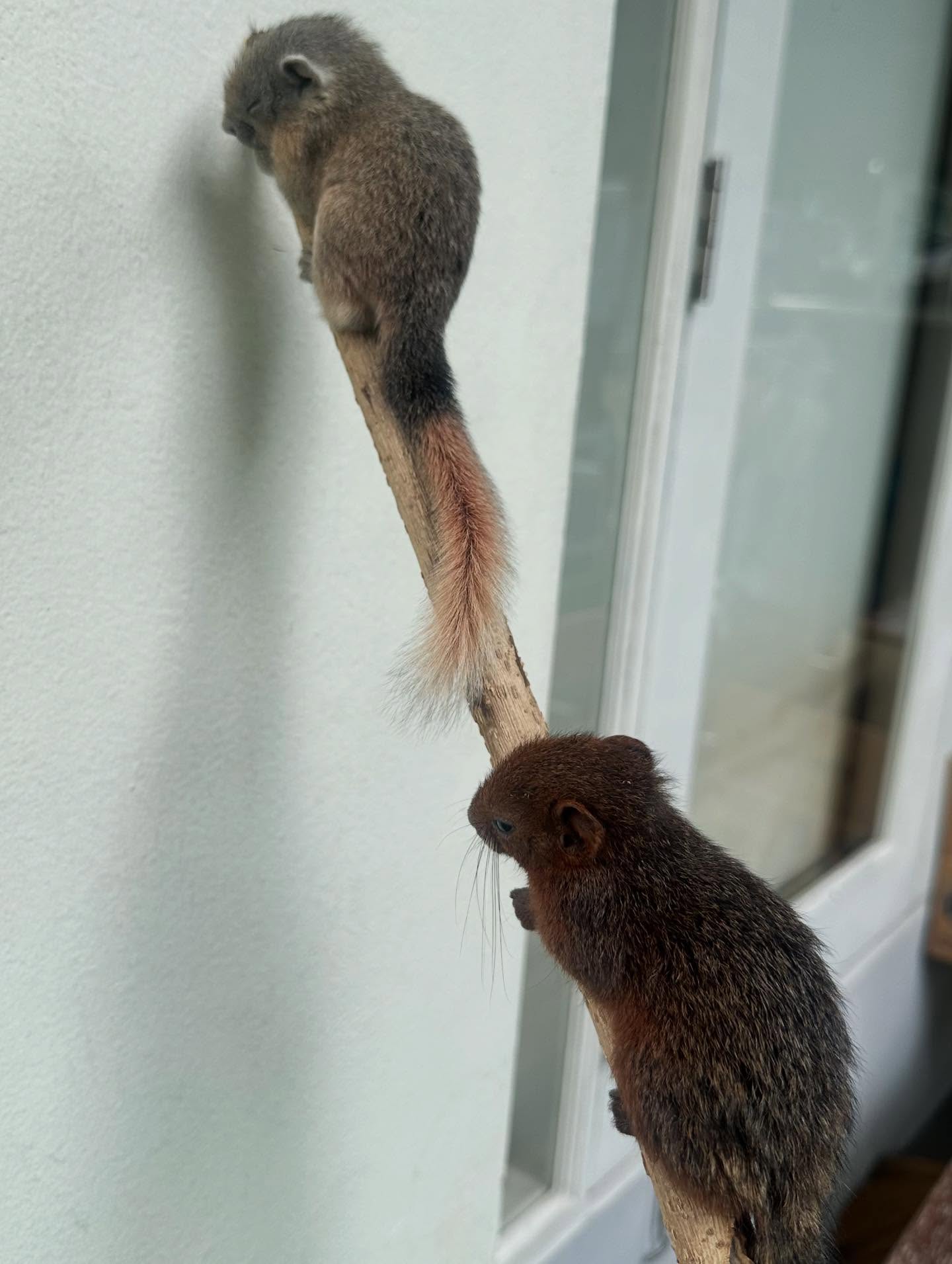 หนุ่ม - คงกะพัน แสงสุริยะ