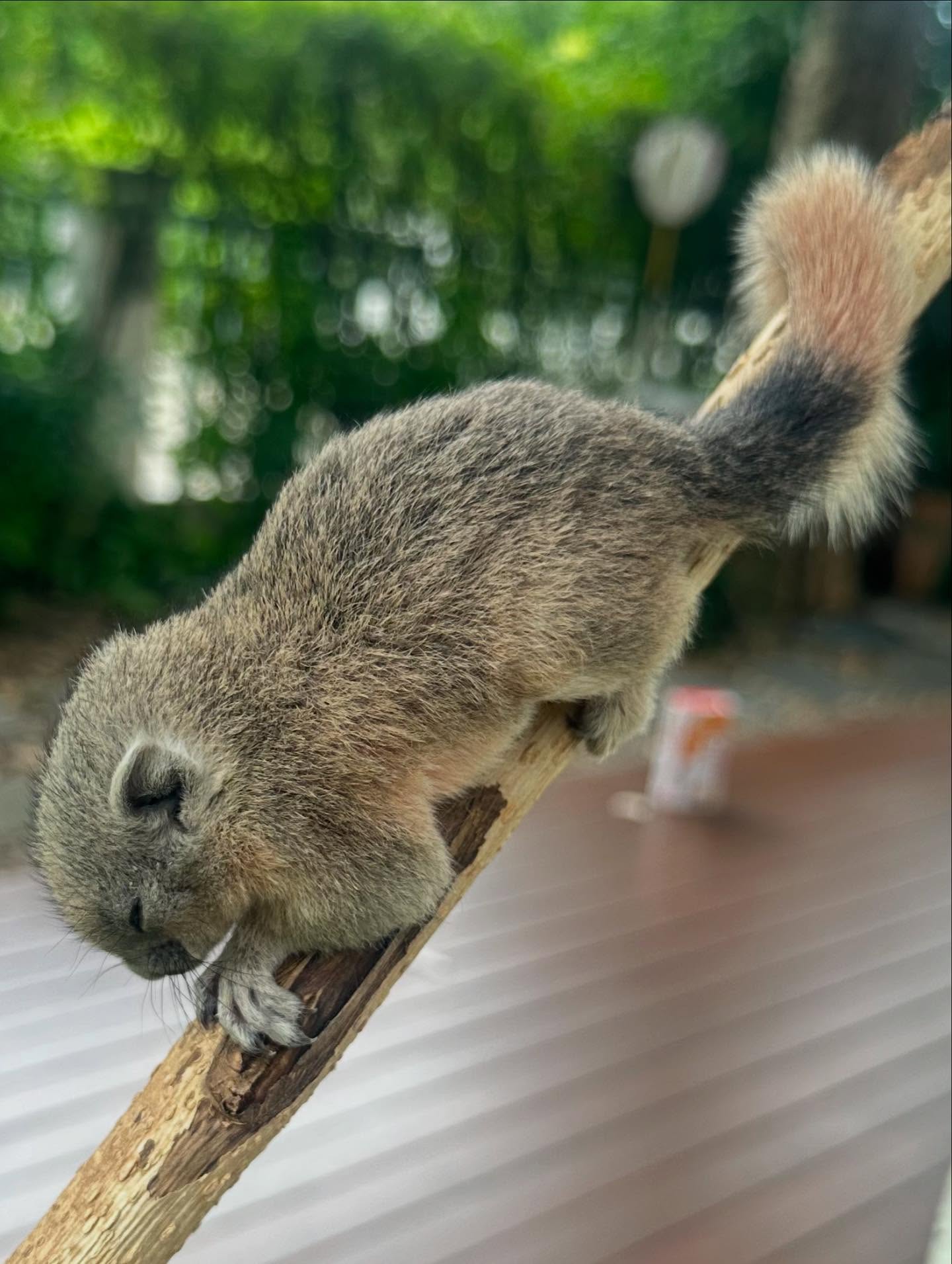 หนุ่ม - คงกะพัน แสงสุริยะ
