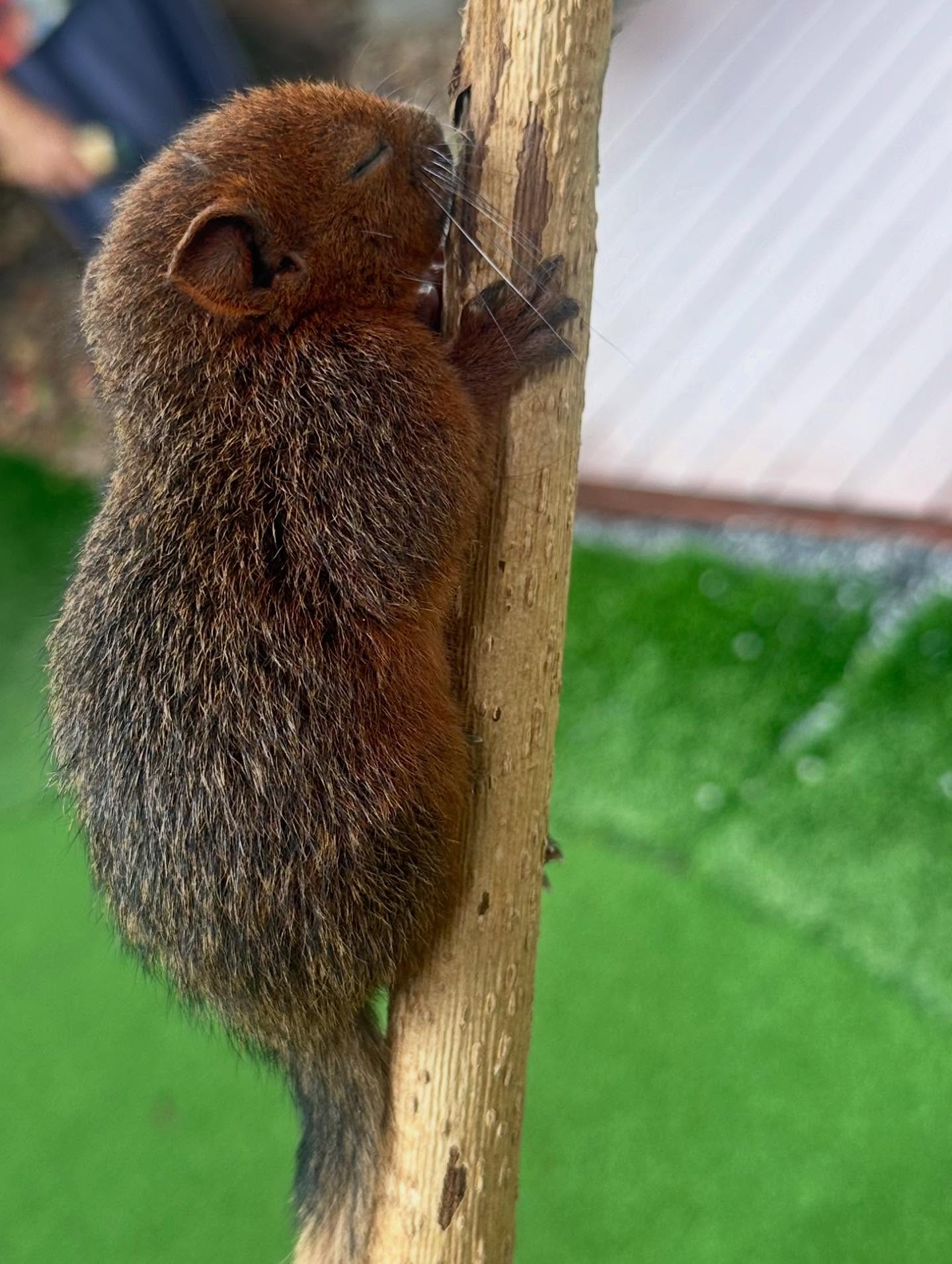 หนุ่ม - คงกะพัน แสงสุริยะ
