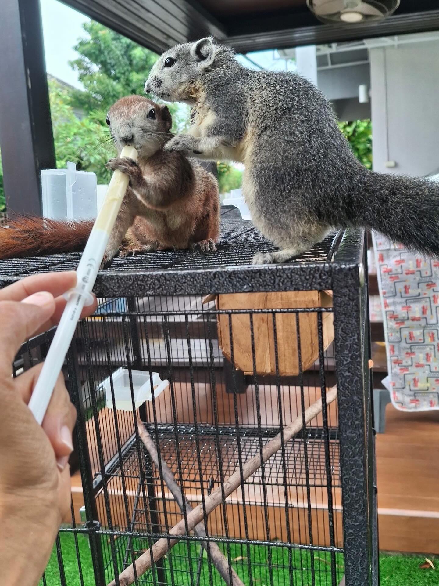 หนุ่ม - คงกะพัน แสงสุริยะ