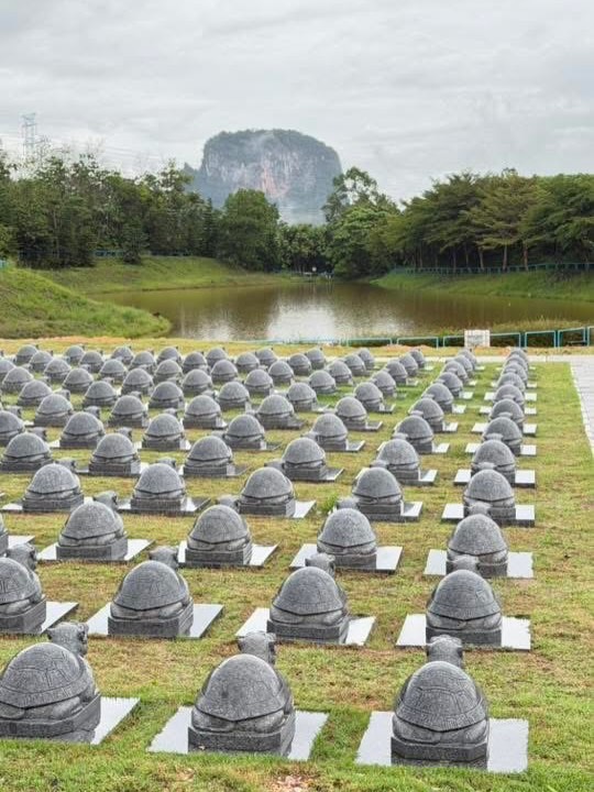 หนุ่ม - คงกะพัน แสงสุริยะ