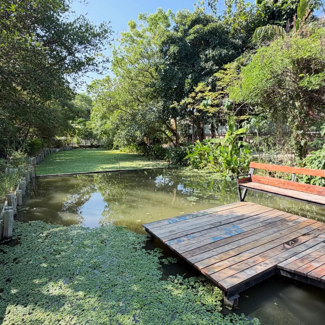 หนุ่ม - คงกะพัน แสงสุริยะ