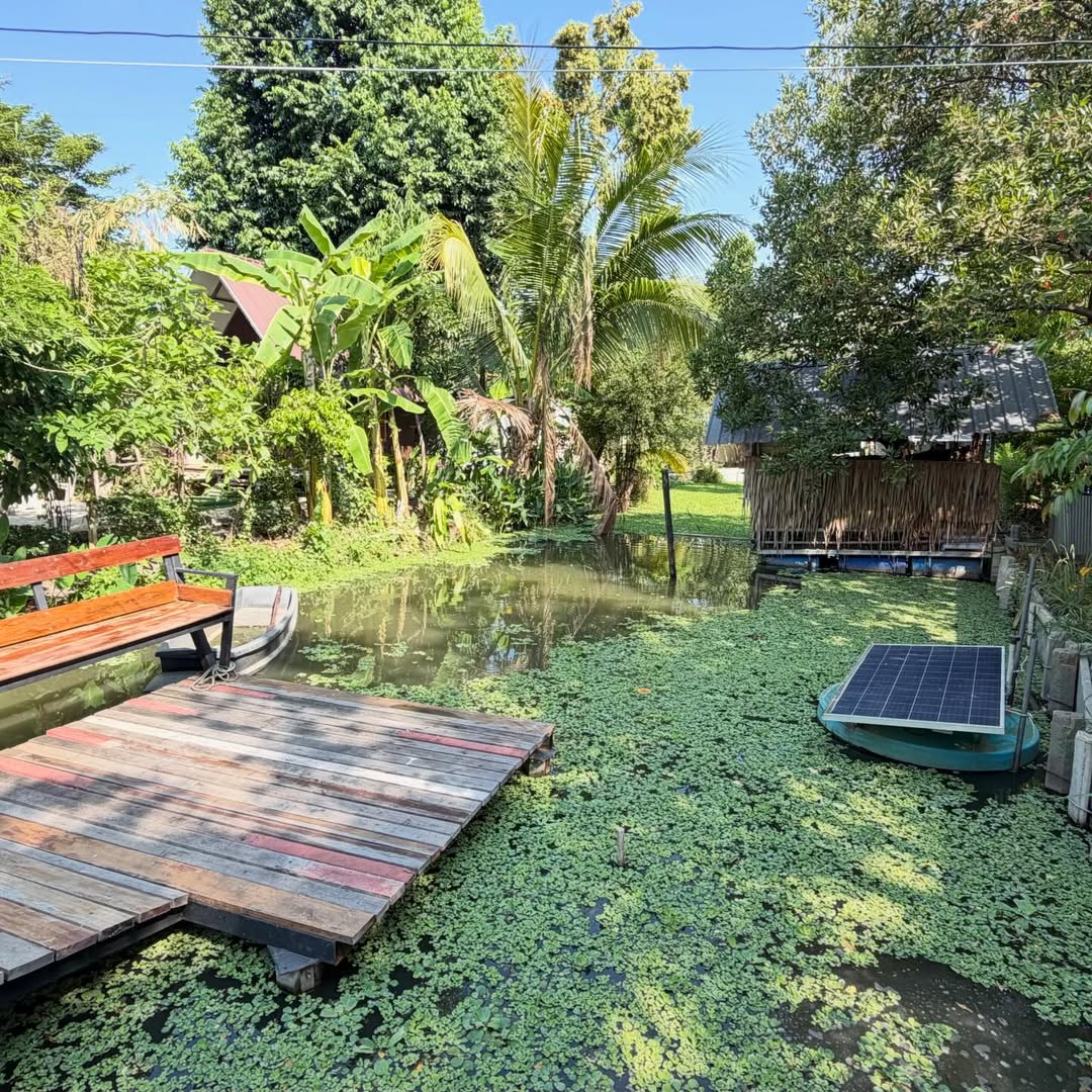 หนุ่ม - คงกะพัน แสงสุริยะ