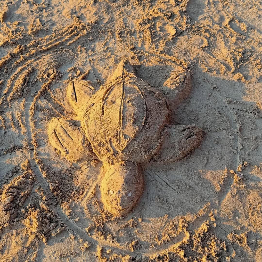 หนุ่ม - คงกะพัน แสงสุริยะ