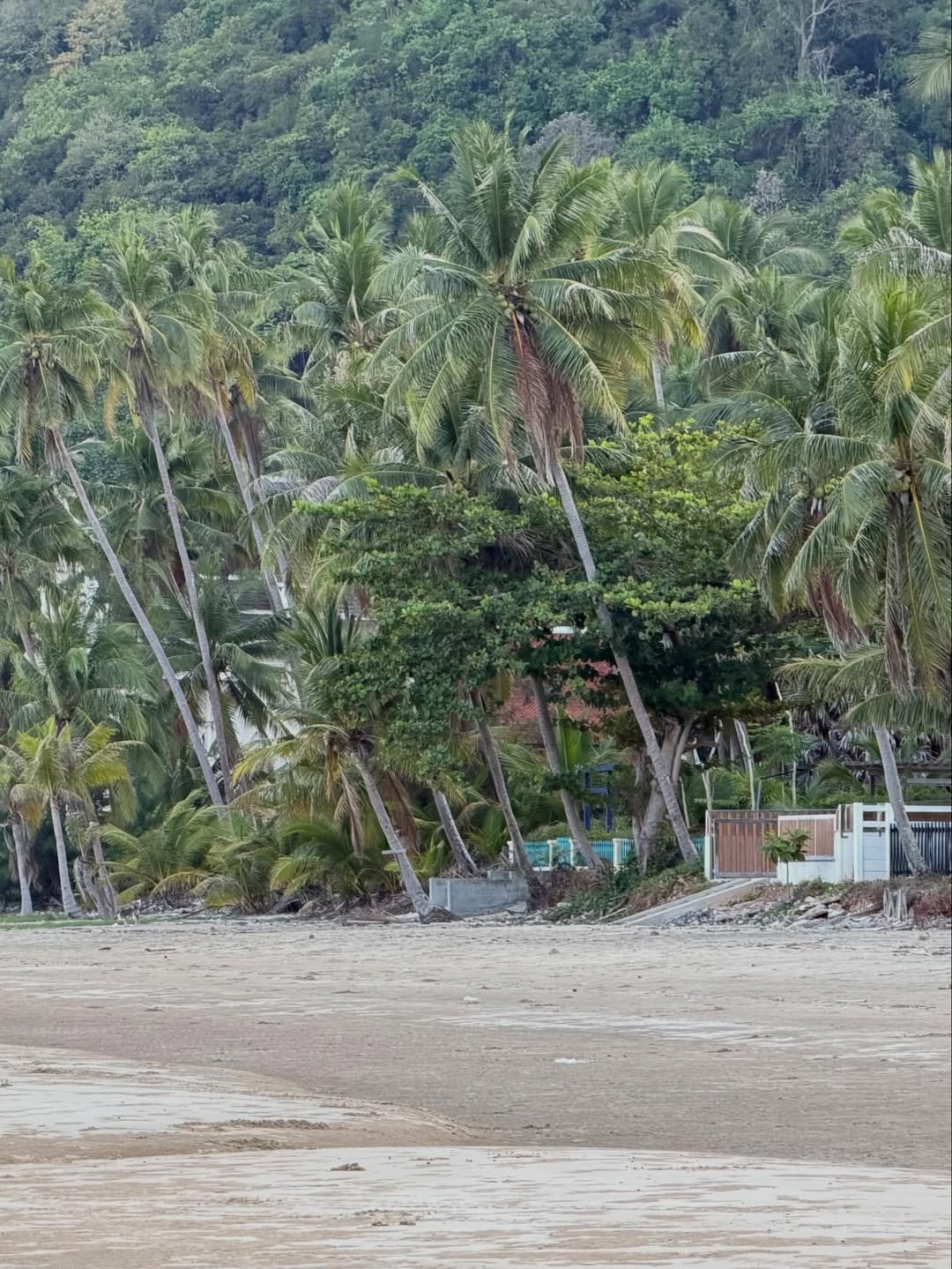 หนุ่ม - คงกะพัน แสงสุริยะ