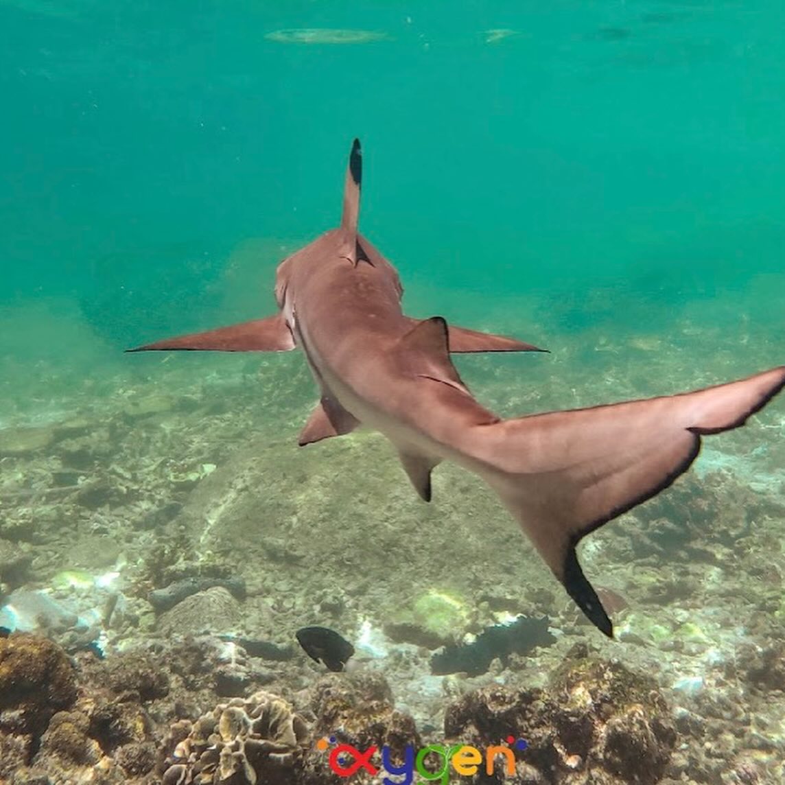 หนุ่ม - คงกะพัน แสงสุริยะ