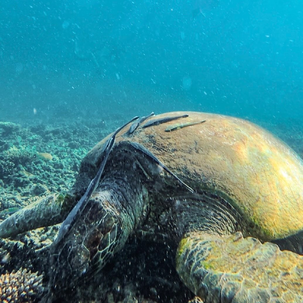 หนุ่ม - คงกะพัน แสงสุริยะ