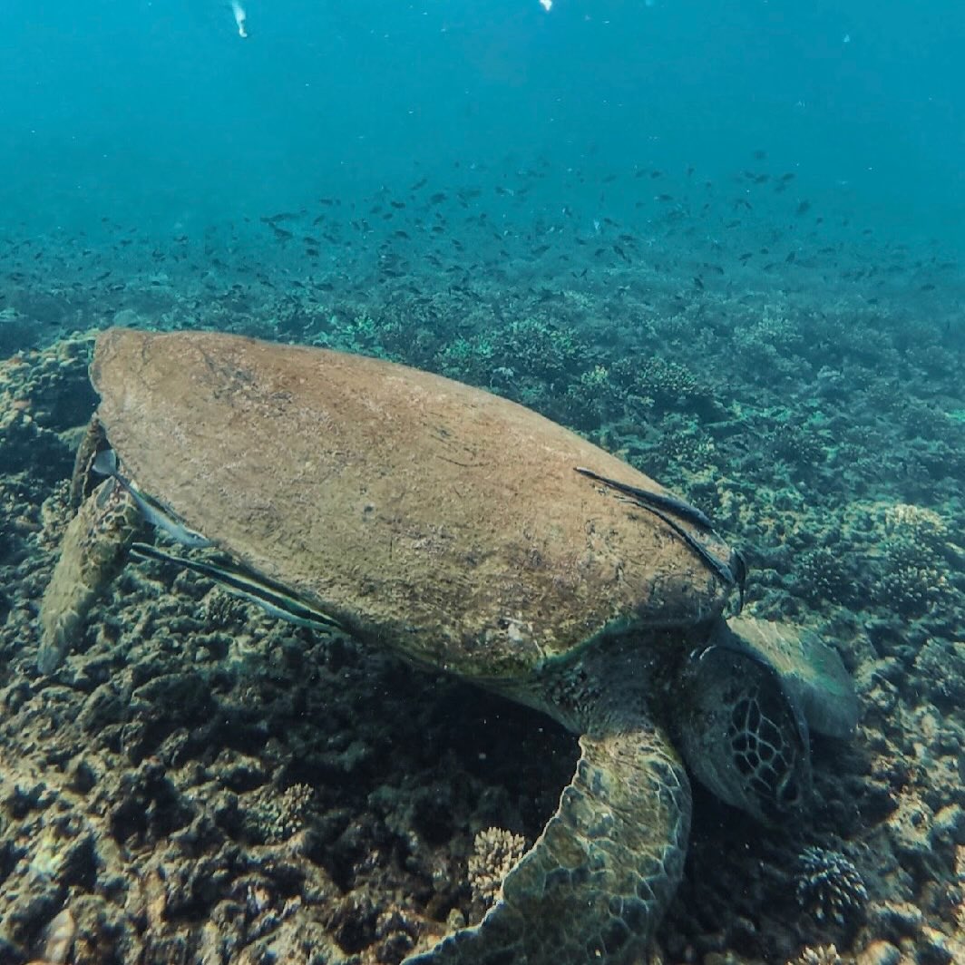 หนุ่ม - คงกะพัน แสงสุริยะ