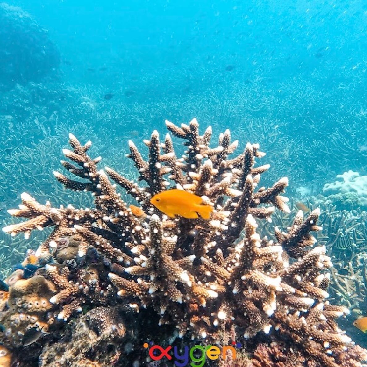 หนุ่ม - คงกะพัน แสงสุริยะ