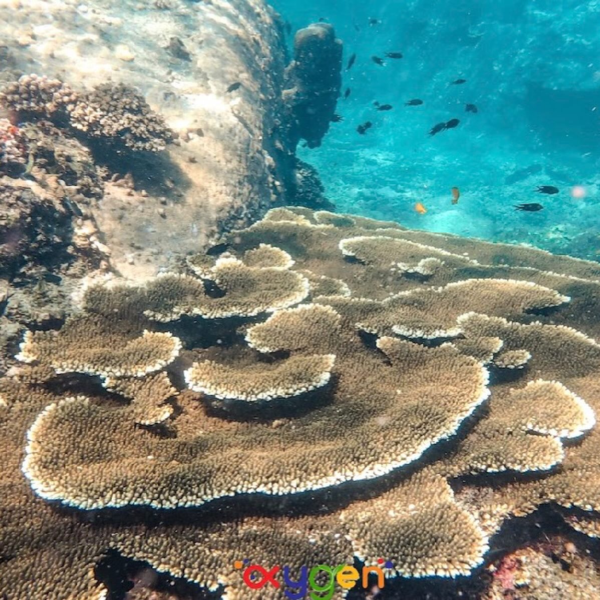 หนุ่ม - คงกะพัน แสงสุริยะ