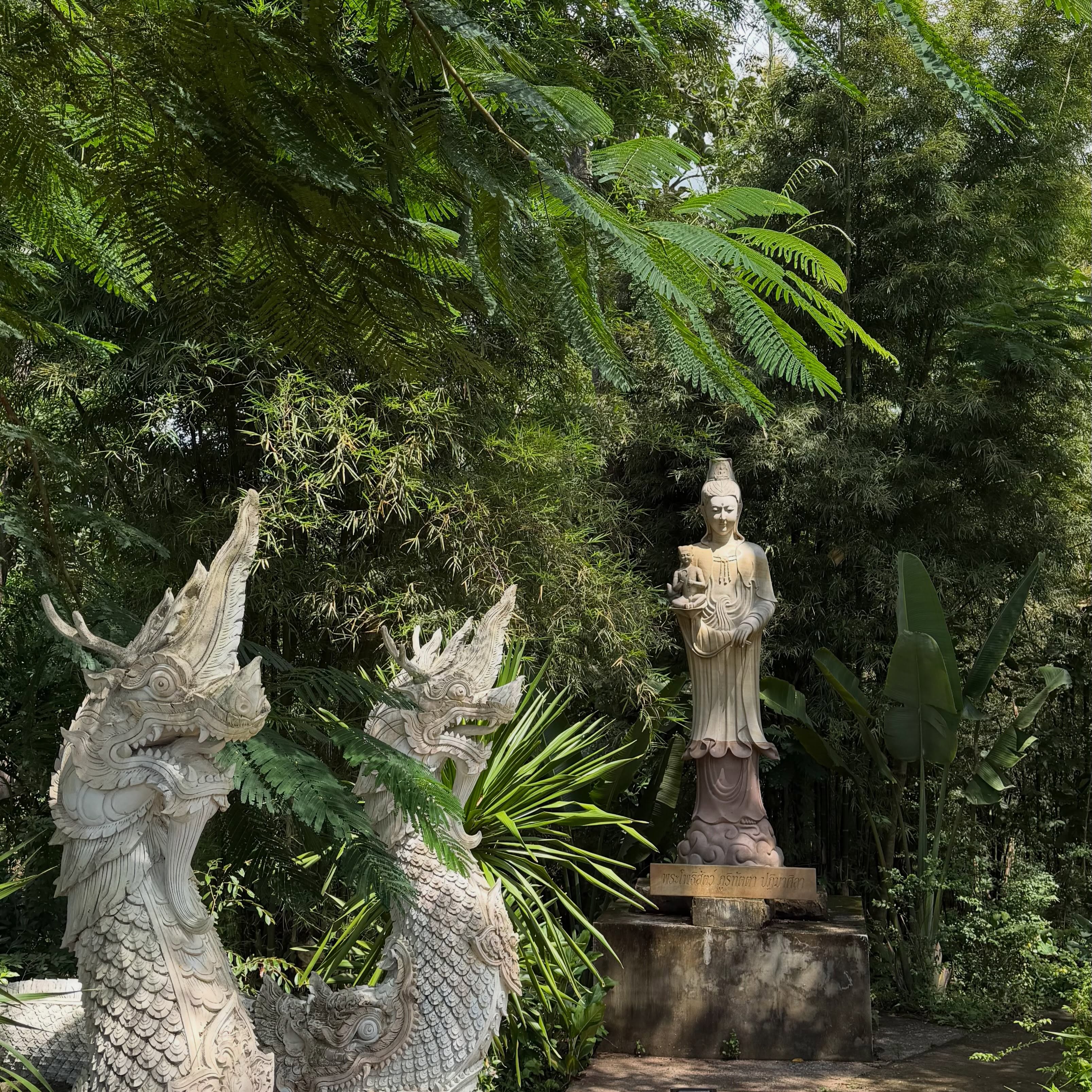 หนุ่ม - คงกะพัน แสงสุริยะ