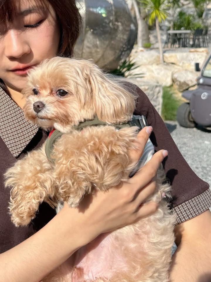 น้ำ - กัญญ์กุลณัช ปัญญากิตตินันท์