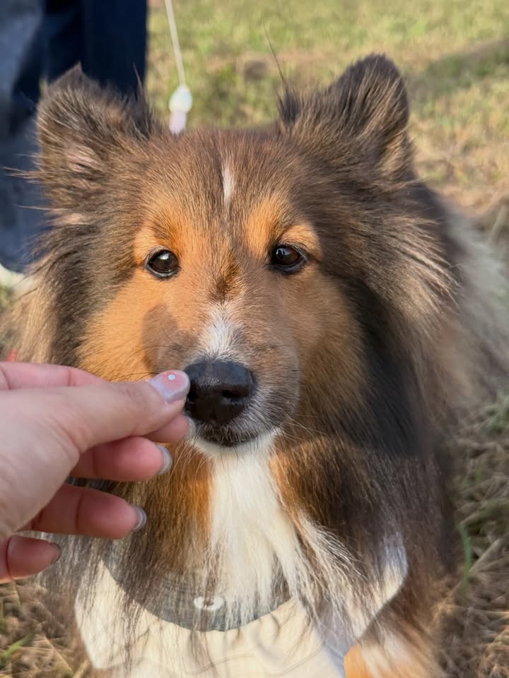 น้ำ - กัญญ์กุลณัช ปัญญากิตตินันท์