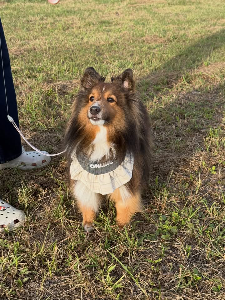 น้ำ - กัญญ์กุลณัช ปัญญากิตตินันท์