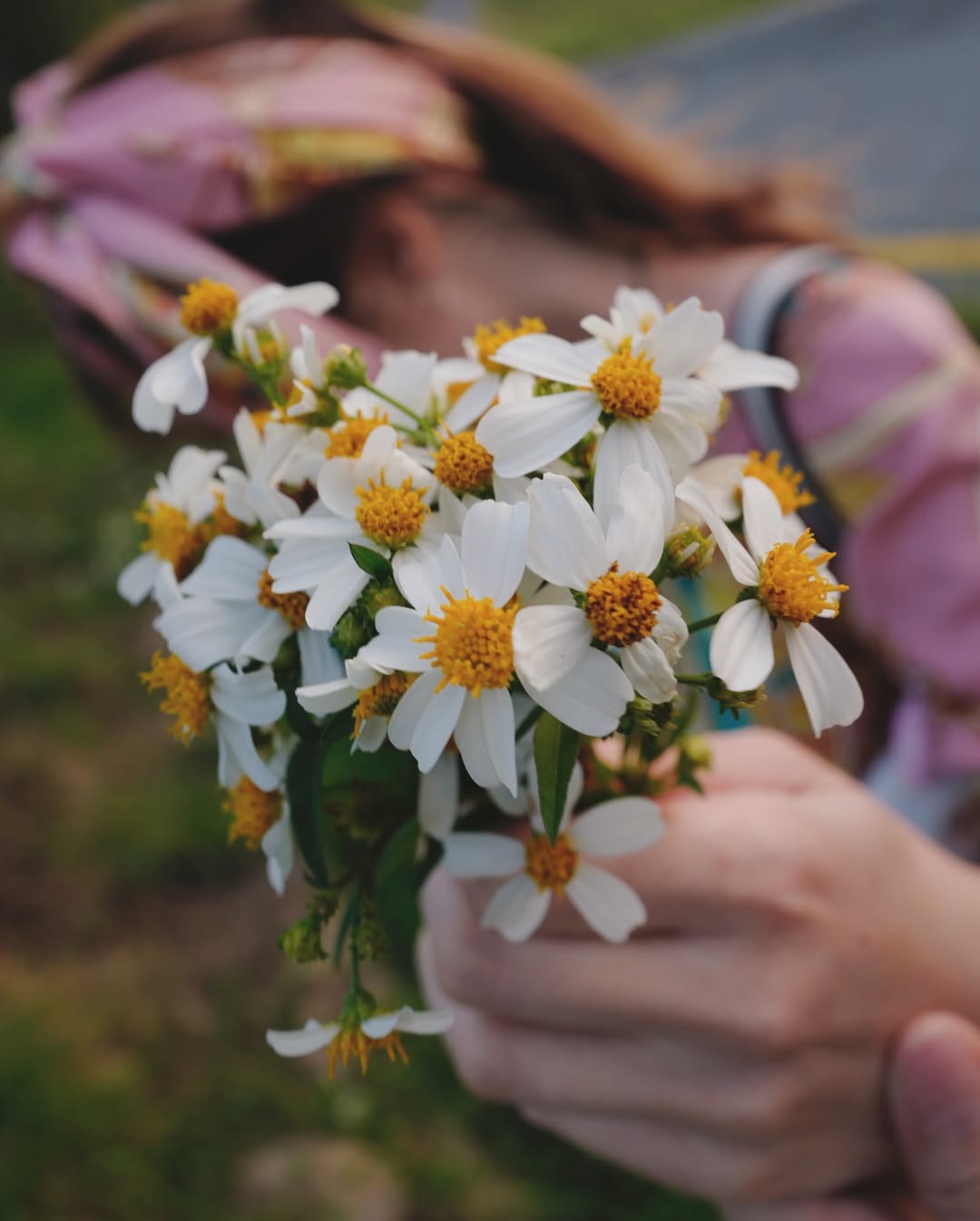 ลี - ฐานัฐพ์ โล่ห์คุณสมบัติ