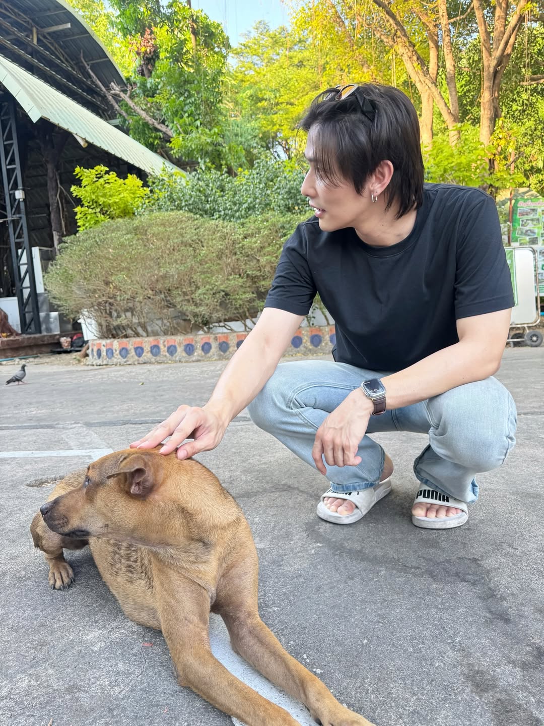 ลี - ฐานัฐพ์ โล่ห์คุณสมบัติ