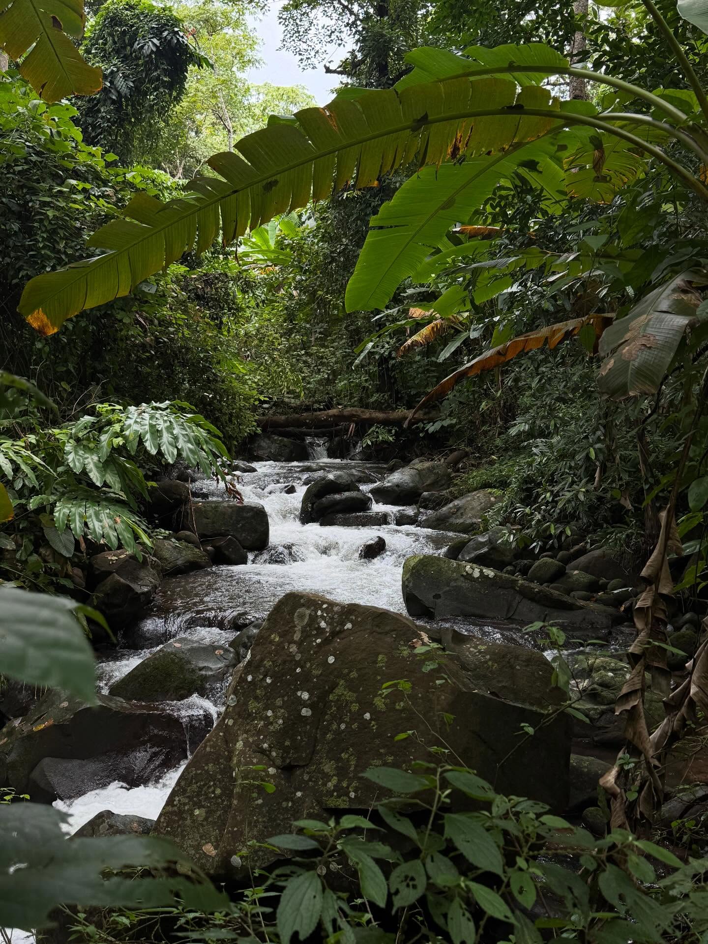 เฟย - ภัทร เอกแสงกุล