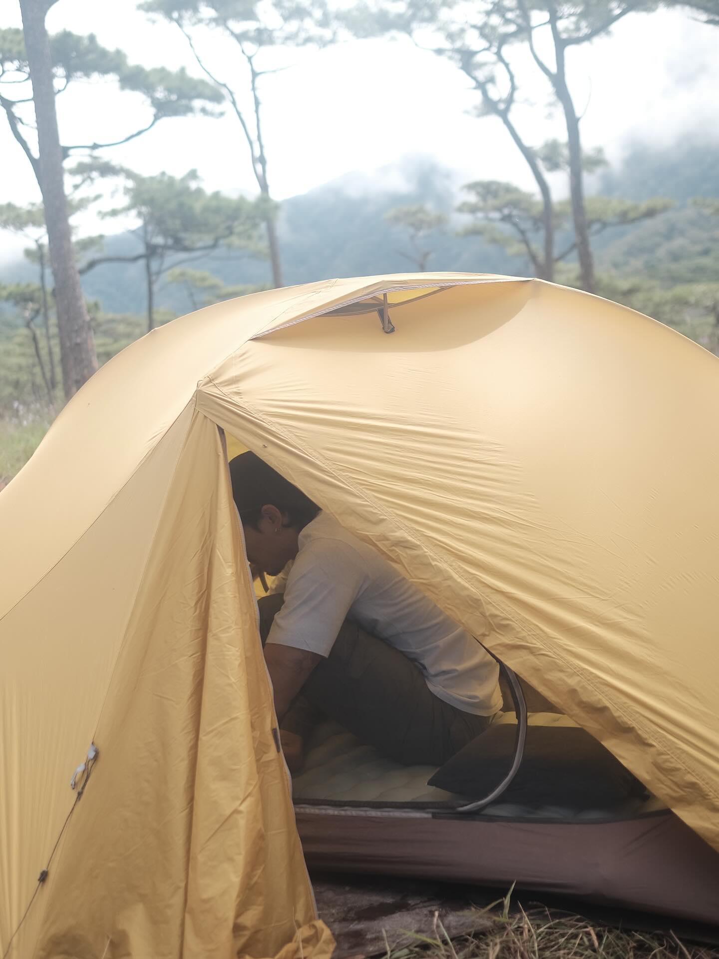 เฟย - ภัทร เอกแสงกุล