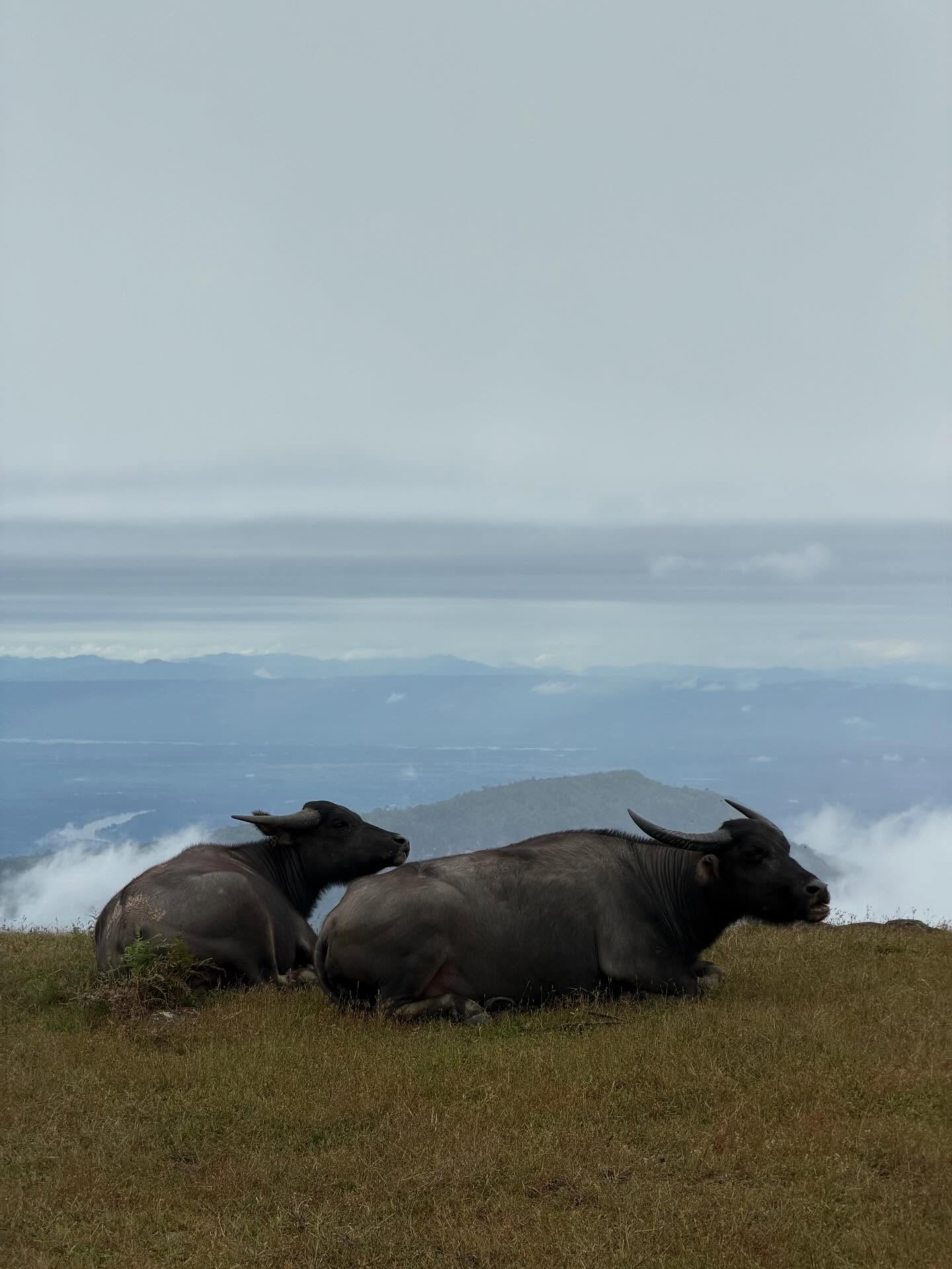 เฟย - ภัทร เอกแสงกุล